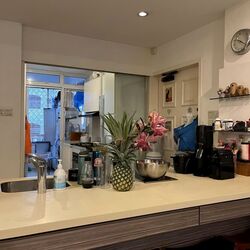 Tanglin Park (D10), Condominium #557817351